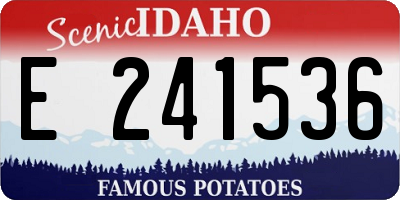 ID license plate E241536