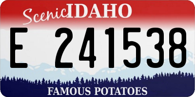 ID license plate E241538