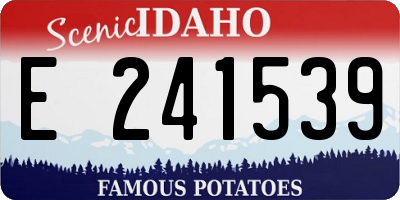 ID license plate E241539