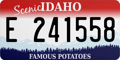 ID license plate E241558