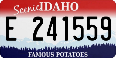 ID license plate E241559