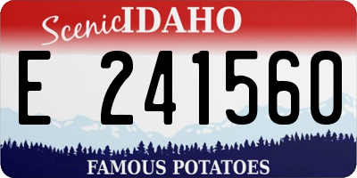 ID license plate E241560