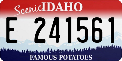 ID license plate E241561
