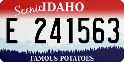 ID license plate E241563