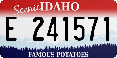 ID license plate E241571