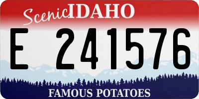 ID license plate E241576