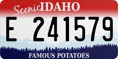 ID license plate E241579