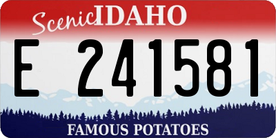 ID license plate E241581