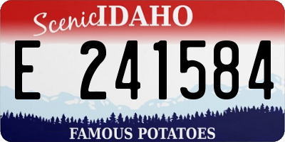 ID license plate E241584