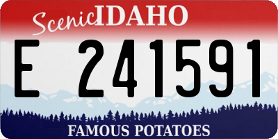 ID license plate E241591