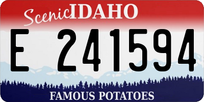 ID license plate E241594