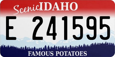 ID license plate E241595