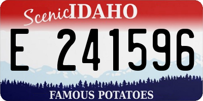 ID license plate E241596