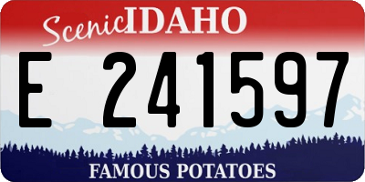 ID license plate E241597
