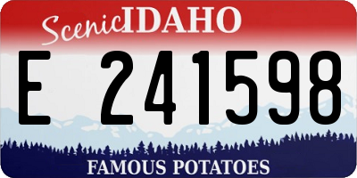 ID license plate E241598