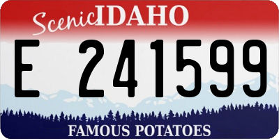 ID license plate E241599