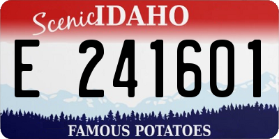ID license plate E241601