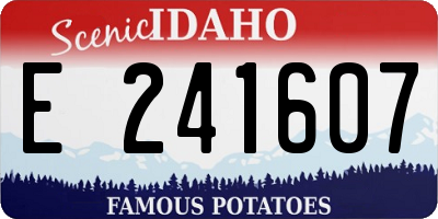 ID license plate E241607