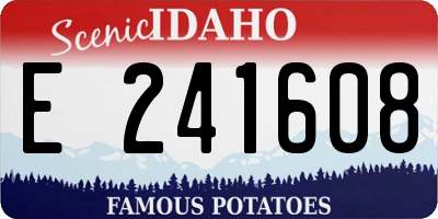 ID license plate E241608