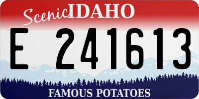 ID license plate E241613