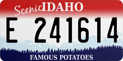 ID license plate E241614