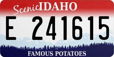 ID license plate E241615
