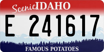 ID license plate E241617