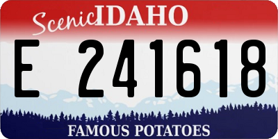 ID license plate E241618