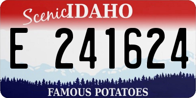 ID license plate E241624