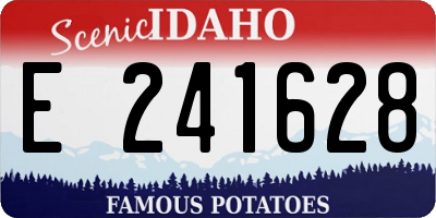 ID license plate E241628