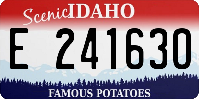 ID license plate E241630