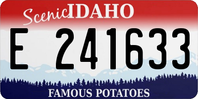 ID license plate E241633