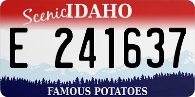 ID license plate E241637