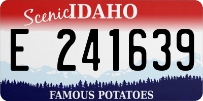 ID license plate E241639
