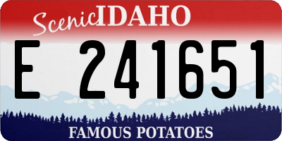 ID license plate E241651