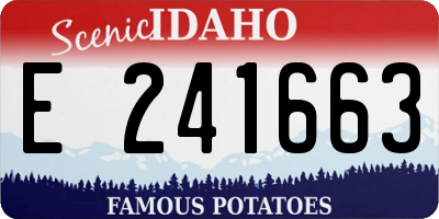 ID license plate E241663