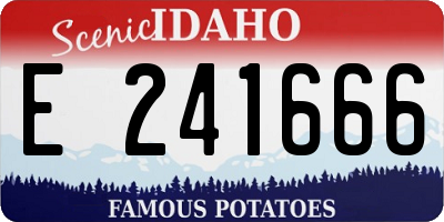 ID license plate E241666