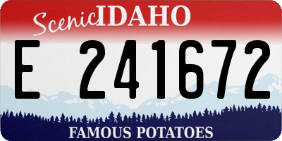 ID license plate E241672