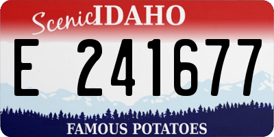 ID license plate E241677