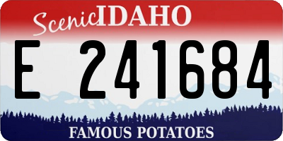 ID license plate E241684