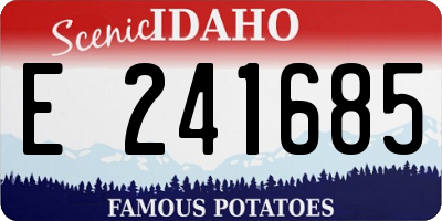 ID license plate E241685
