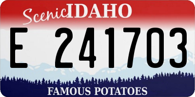 ID license plate E241703