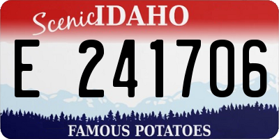 ID license plate E241706