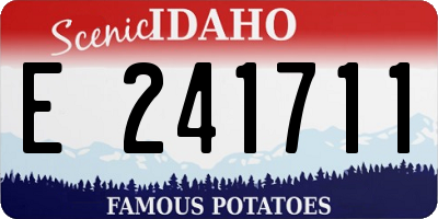 ID license plate E241711