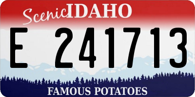 ID license plate E241713