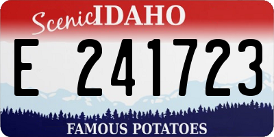 ID license plate E241723