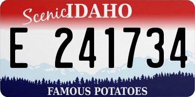 ID license plate E241734