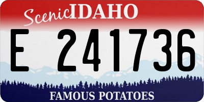 ID license plate E241736