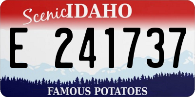ID license plate E241737
