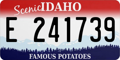 ID license plate E241739